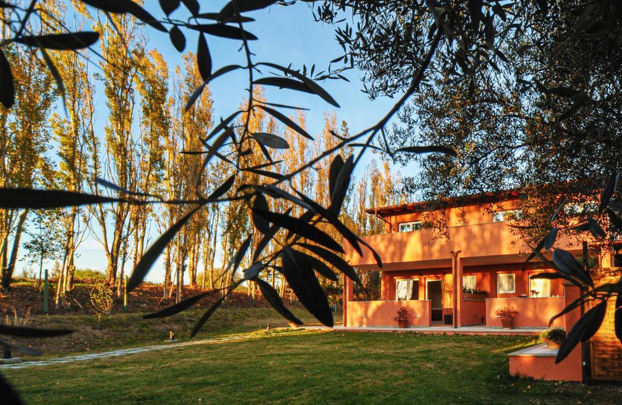 Tenuta Bussete Country Hotel Βιτέρμπο Εξωτερικό φωτογραφία